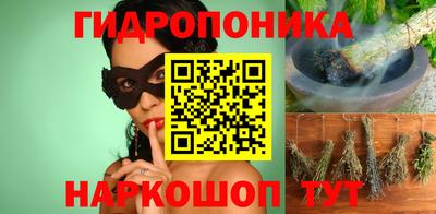 мдпв Кимры