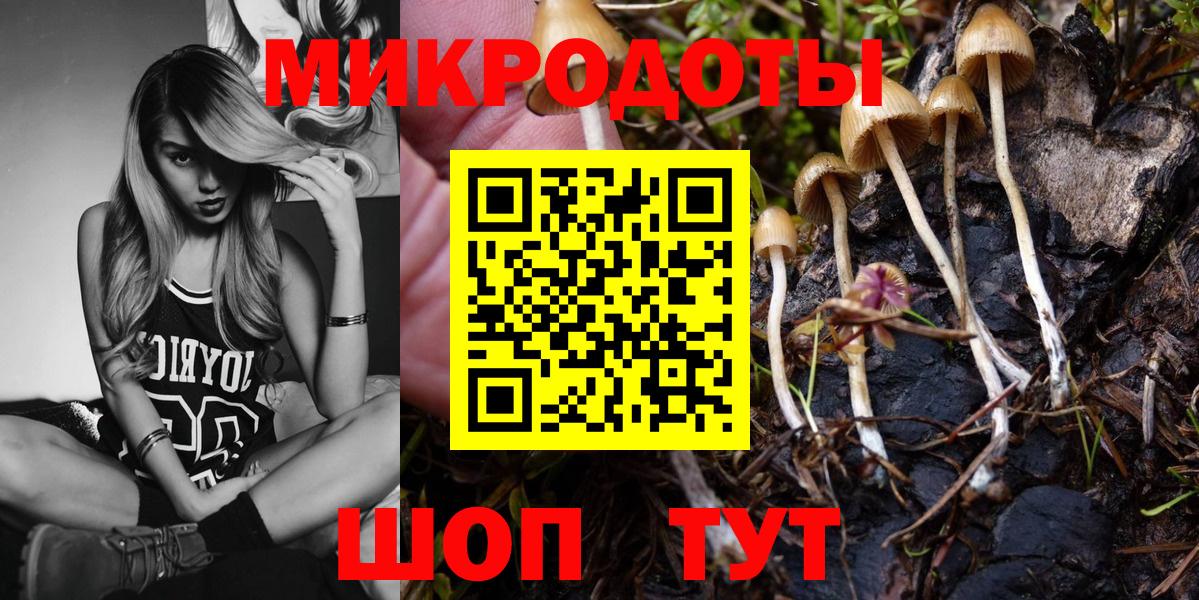 Краснокаменск  где купить наркотик  Вход с VPN  Псилоцибиновые грибы Psilocybine cubensis 